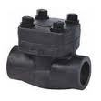 Forged Steel Check Valve