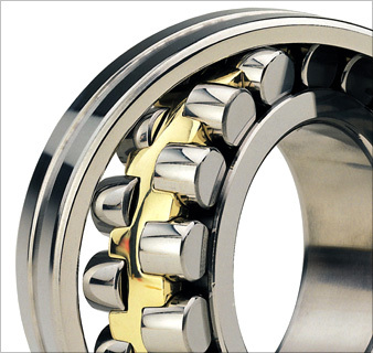 Spherical Bearing