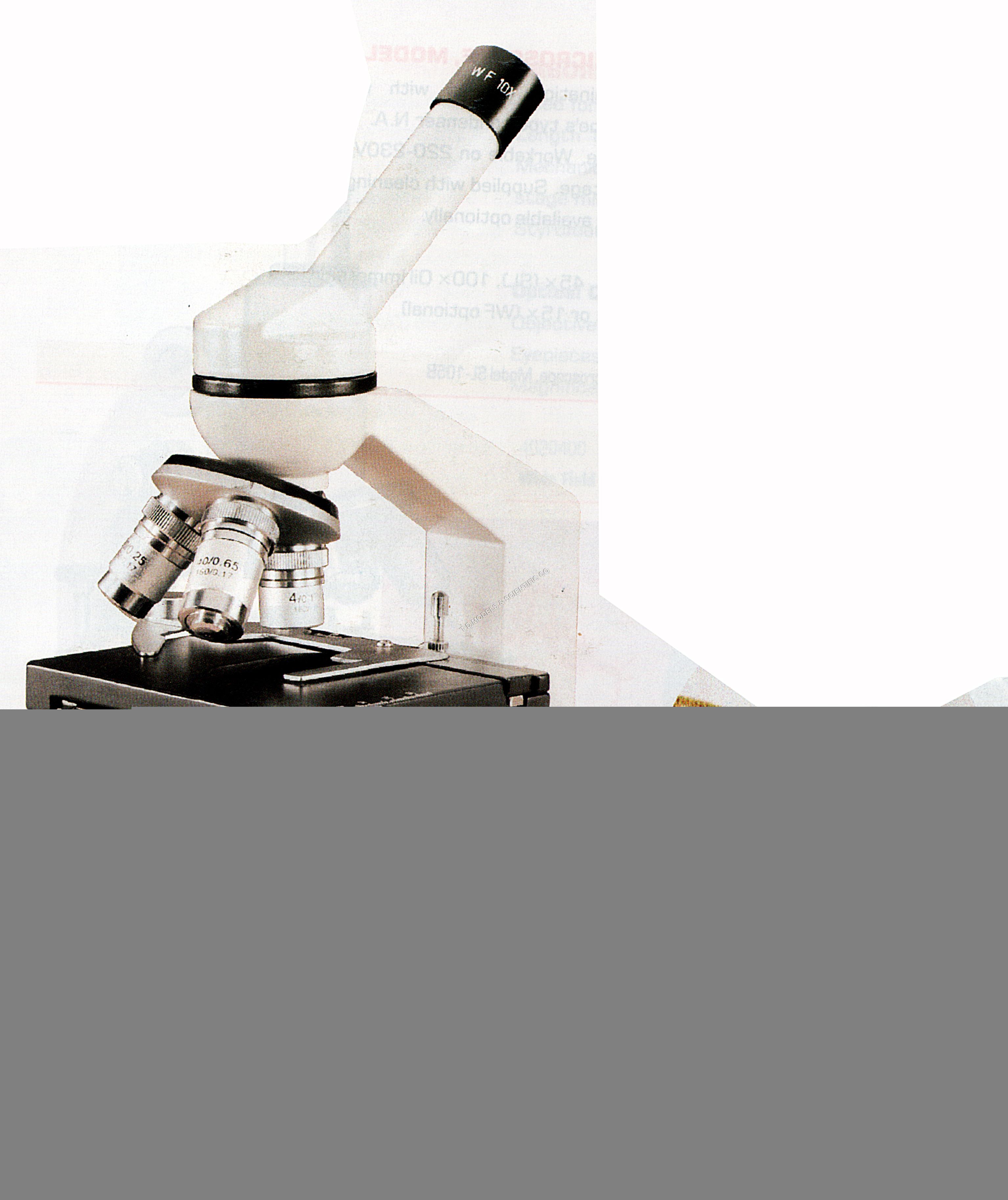 INCLINED PATHOLOGY MICROSCOPE MODEL HL 110