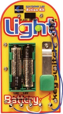 Electronic Light Action Kit