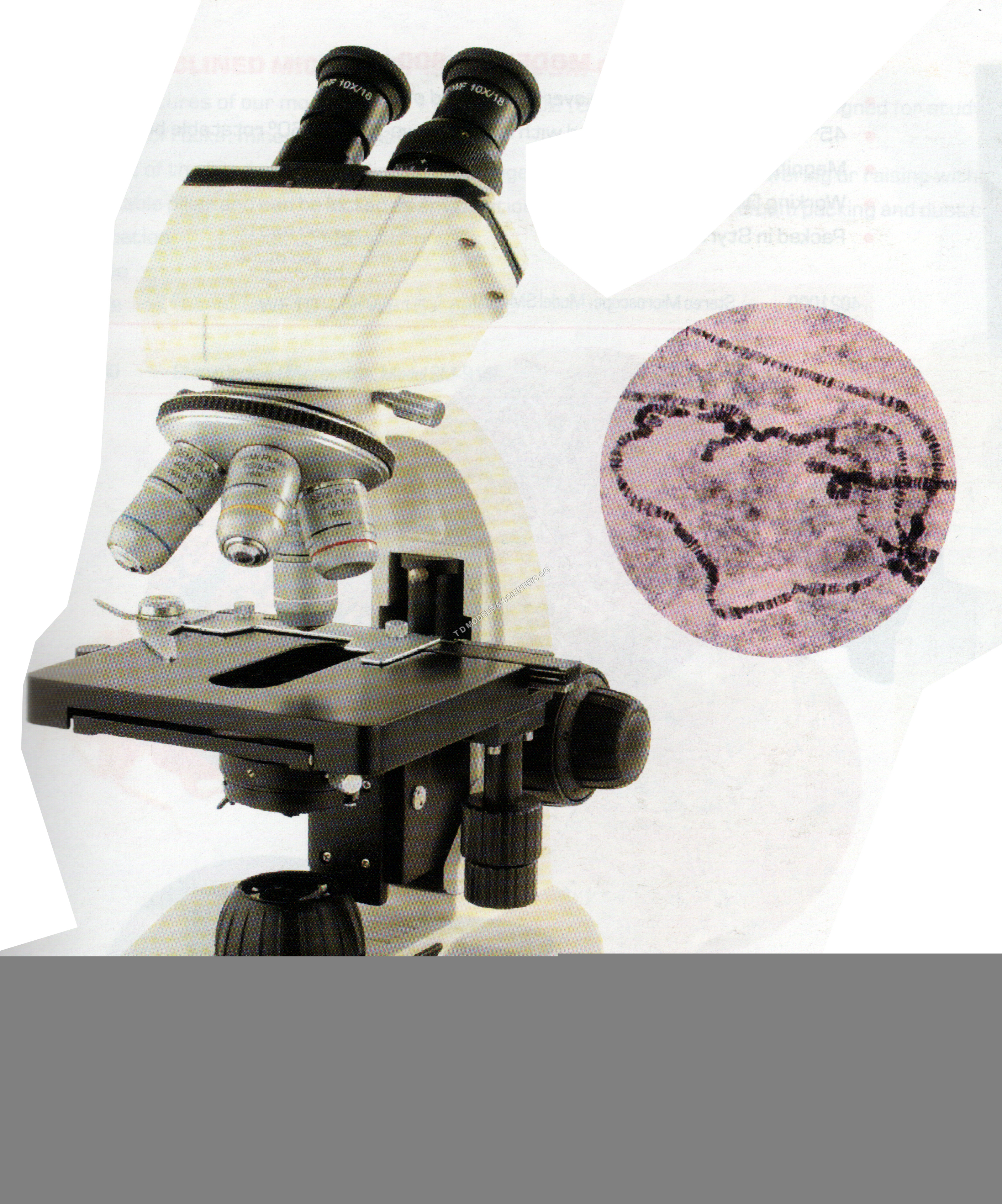 RESEARCH BINOCULAR MICROSCOPE MODEL CXL 2500 - 120x120mm Stage, 1000x Magnification, LED Illumination | WF10x Eyepieces, Precise Focusing, Durable Design