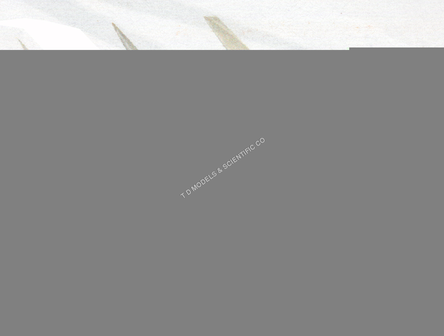 SCISSORS DISSECTING STRAIGHT