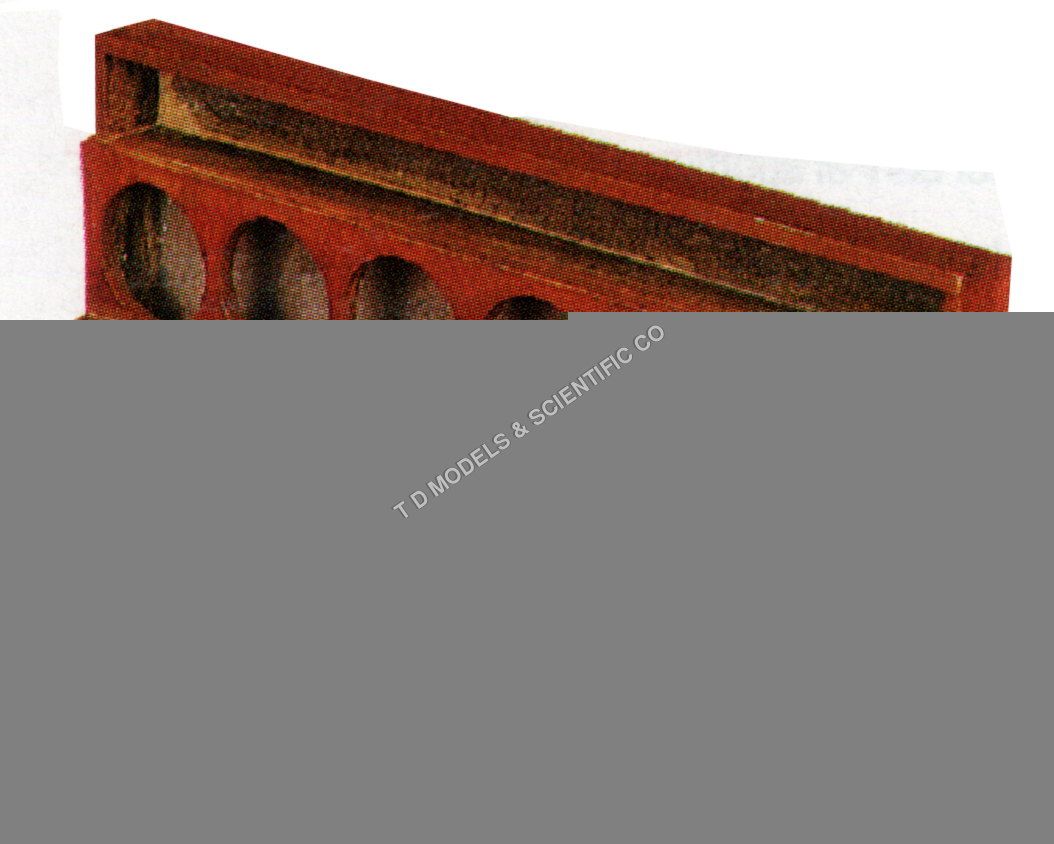 STAINING BOTTLE STAND