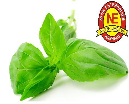 Basil Oil