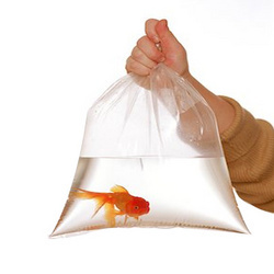 Polyethylene Bags - Color: Transparent