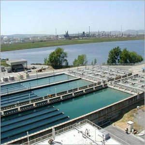 Environmental Impact Assessment & Consultancy