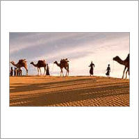 Rajasthan Tour