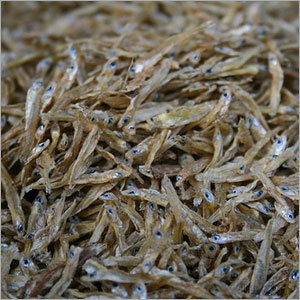 Dry Fish
