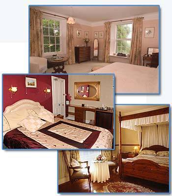 Hotel Booking Services