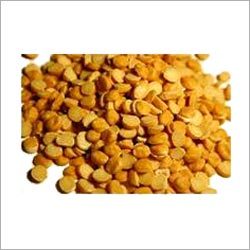 Lentil