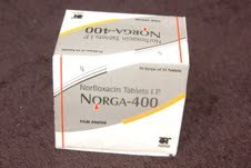 Norga - 400