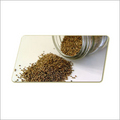 Celery Seeds