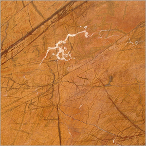 Golden Rainforest Marble