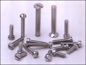 Stainless Steel Screws