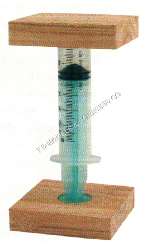 Boyle's Law Simple Form - Wood and Plastic, 15x10x5 cm, Light Brown | Simple Setup, Clear Visuals, Educational Tool, Durable Design