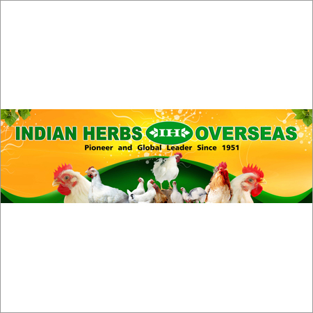 Advertising Materials