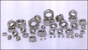 SS nuts, SS Hex Nuts