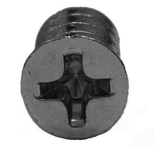 Brinder Philips Head Screws
