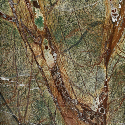Rain Forest Green