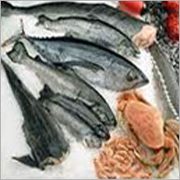 Marine Products