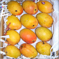 Fruit