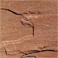 Bansi Pink Bharatpur Sandstone