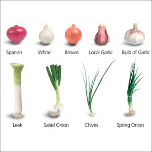 Onions Seeds
