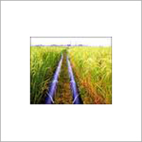 HDPE Pipes Laying Services