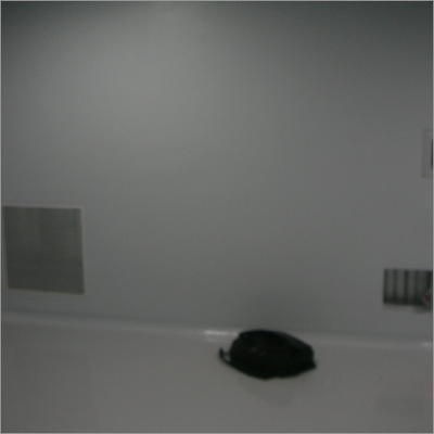 Antifungal Water Based Polyurethane Wall Coating