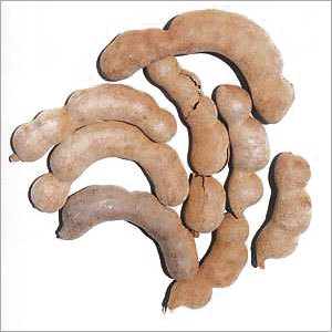 Tamarind