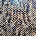 Artificial Snake Leather