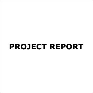 Project Report