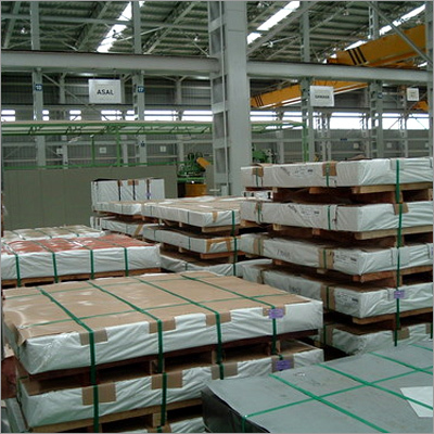 Polyester Pet Strap