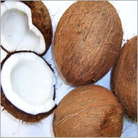 Dry Coconut