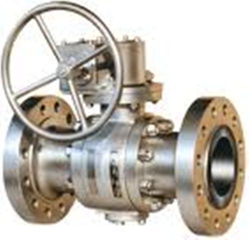 Stainless Steel Valves