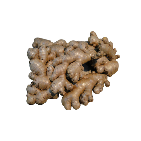Ginger Majaulay