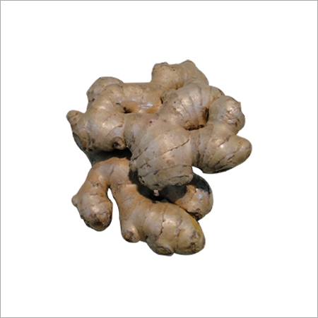 Ginger Bhaisey