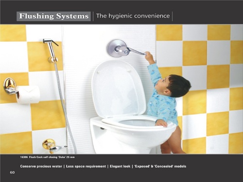 FLUSHING SYSTEMS