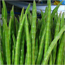 Drumsticks
