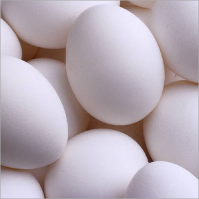 White Chicken Egg