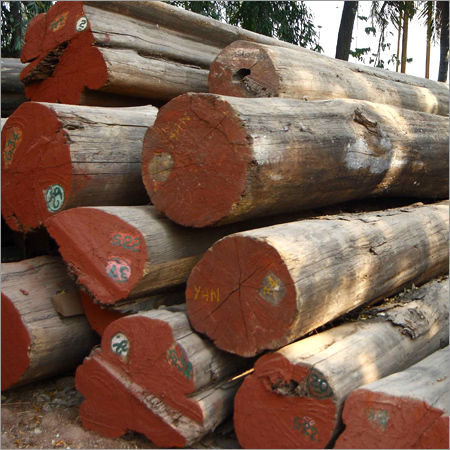 Timber