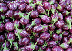 Brinjal Pink Ravaya