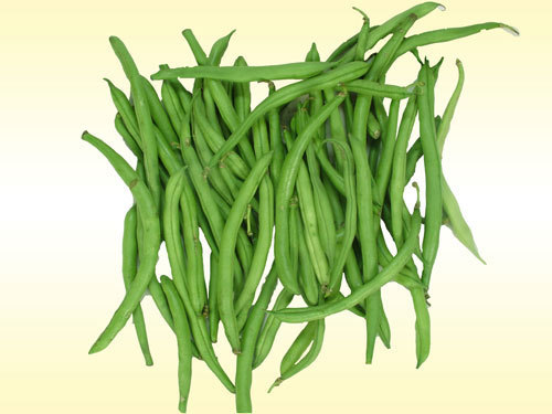 Fresh French Beans Manufacturer Exporters India