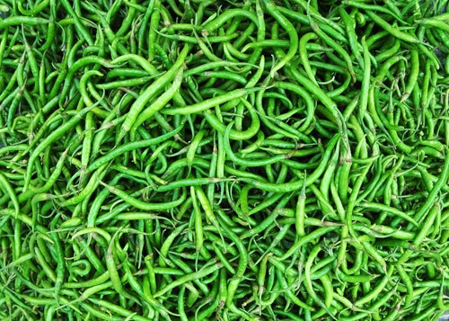 Fresh Green Chilli Manufacturer