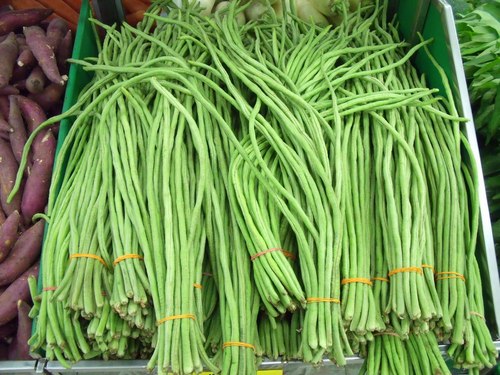 Fresh Long Green Beans