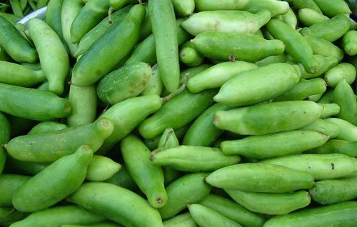 Fresh Long Portel Manufacturer Exporters