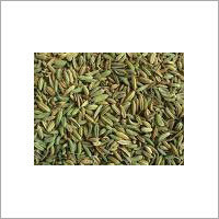 Fennel Seeds