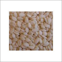 Sesame Seed