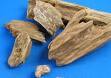 agar wood