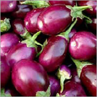 Brinjal